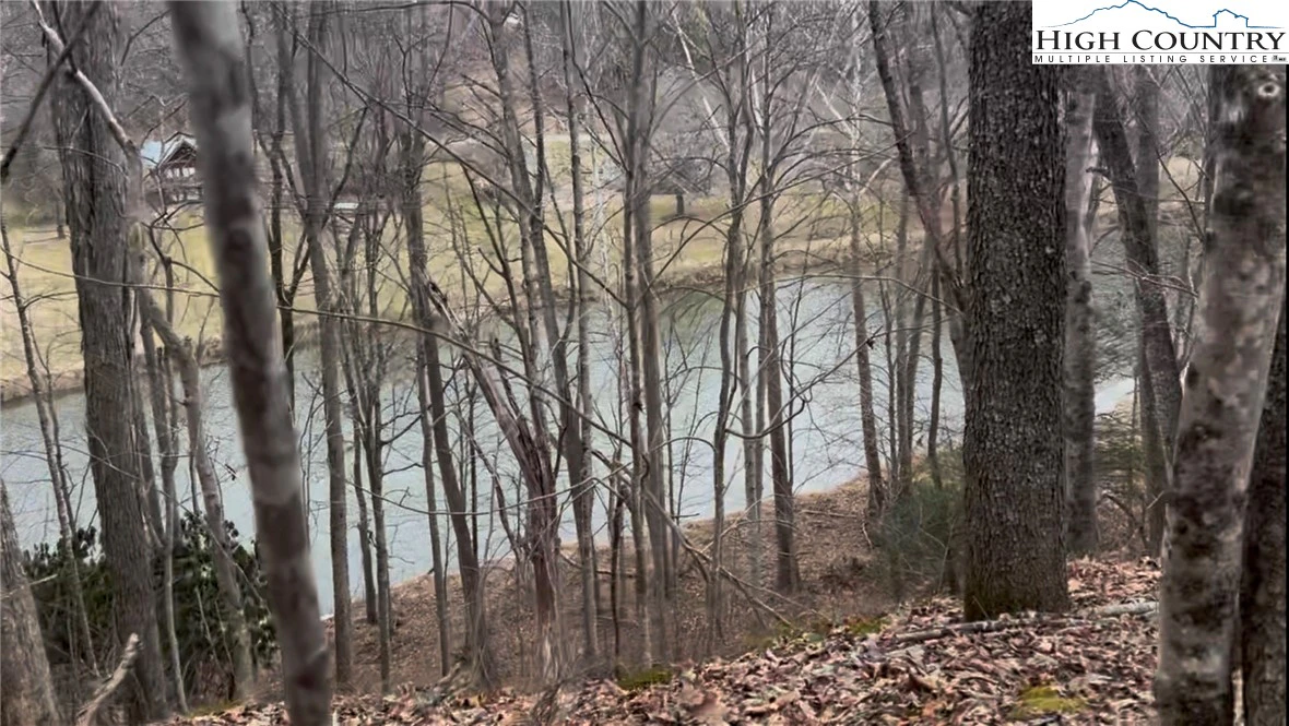 Image number 10 for the current listing