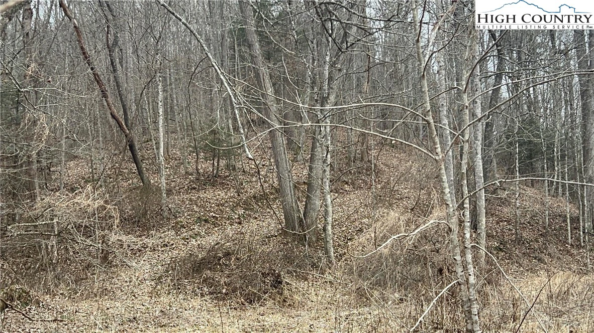 Image number 12 for the current listing