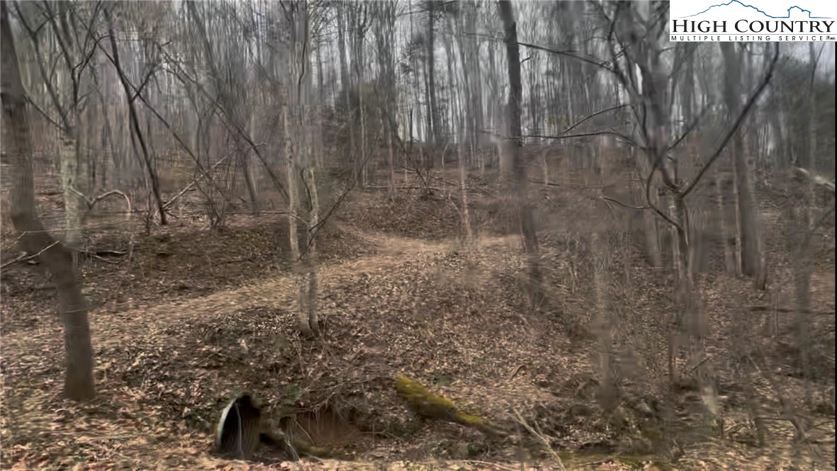 Image number 13 for the current listing