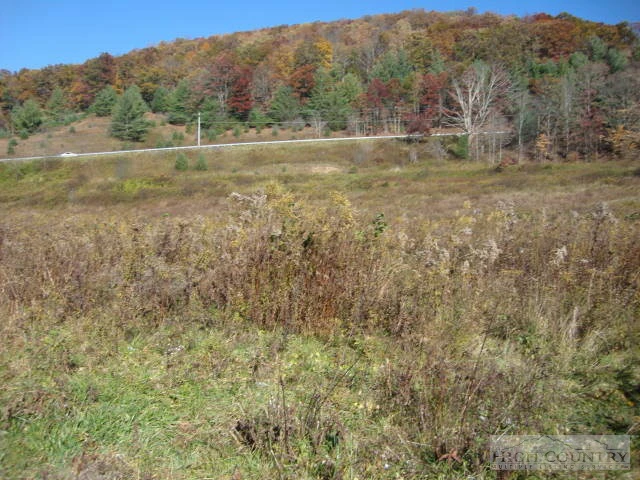 Image number 1 for the current listing