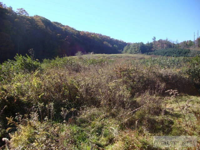 Image number 3 for the current listing