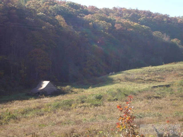 Image number 4 for the current listing