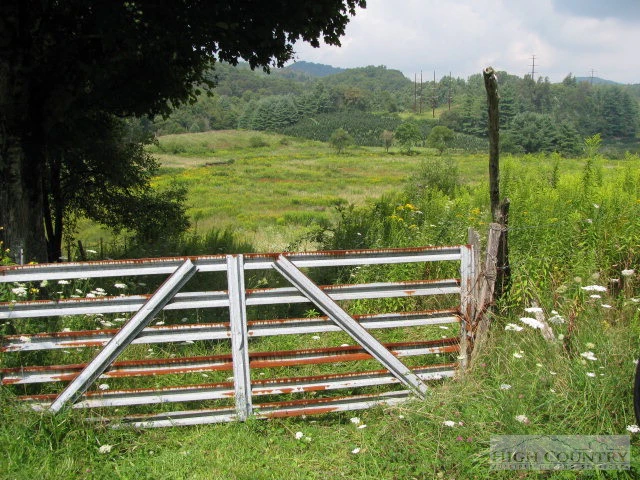 Image number 5 for the current listing