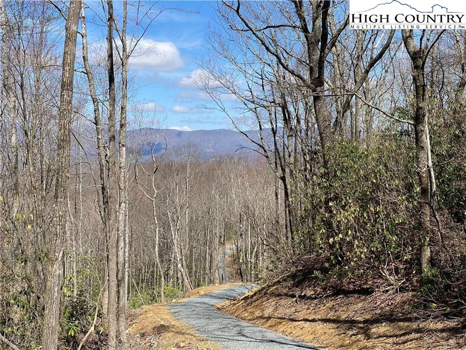 Image number 1 for the current listing