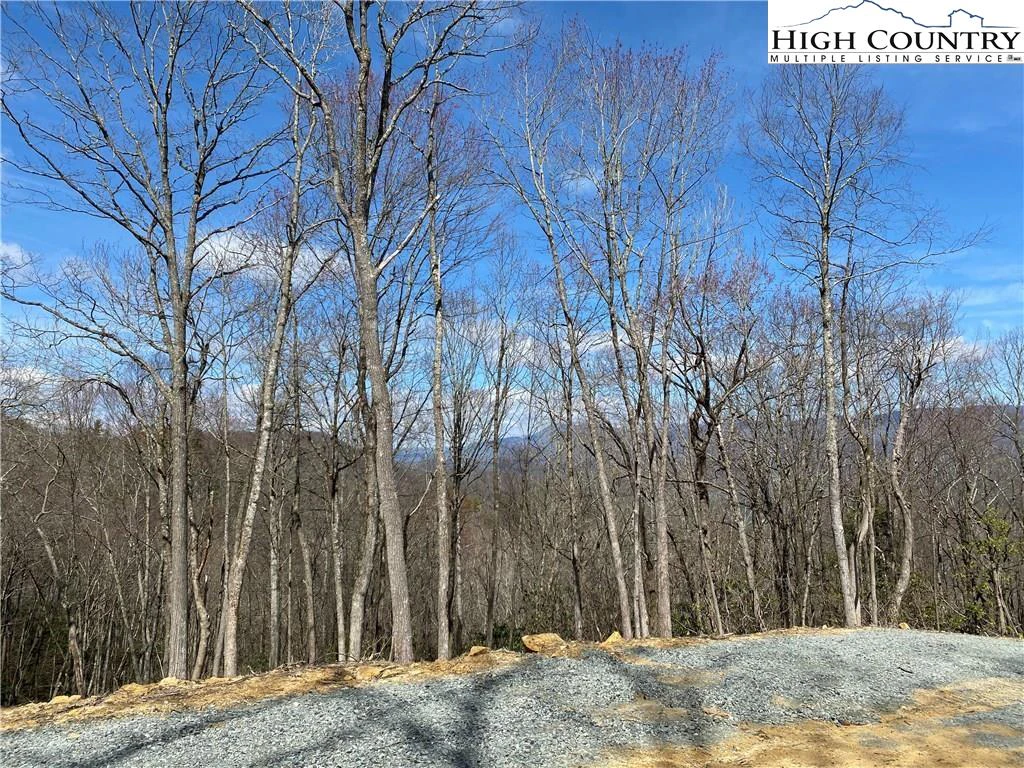 Image number 3 for the current listing