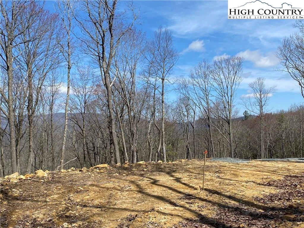 Image number 5 for the current listing