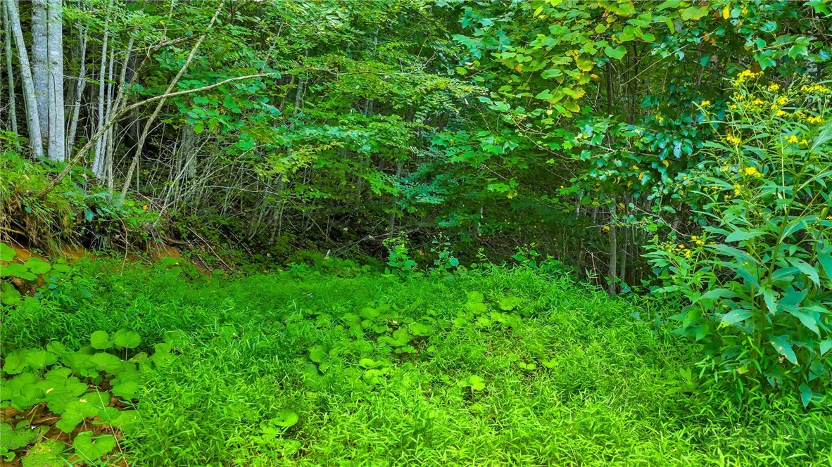 Image number 16 for the current listing