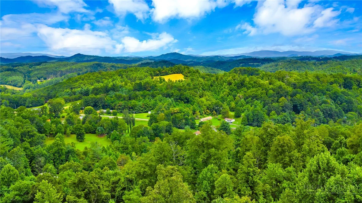 Image number 2 for the current listing