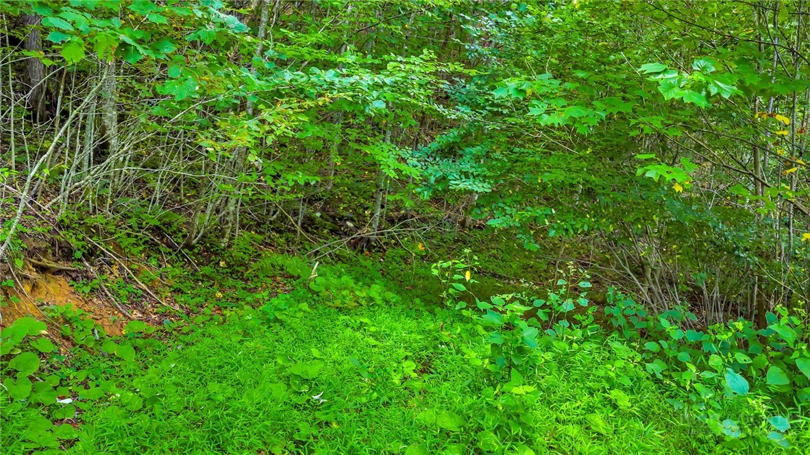 Image number 9 for the current listing