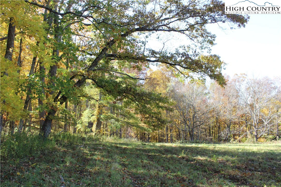 Image number 1 for the current listing