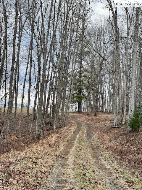 Image number 18 for the current listing
