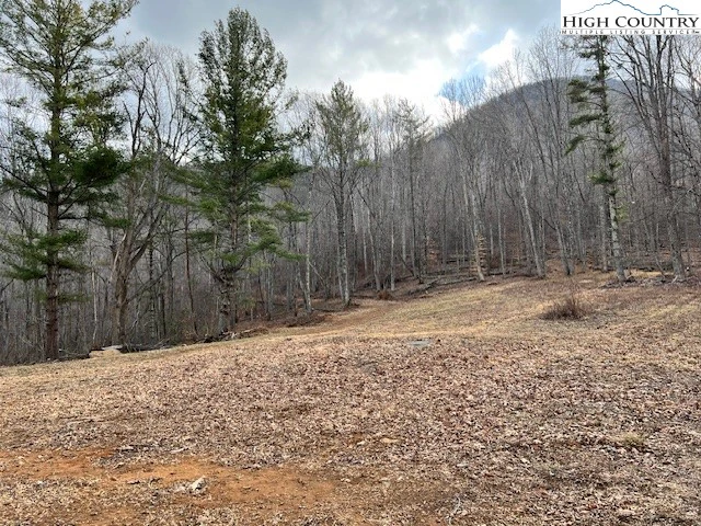 Image number 15 for the current listing
