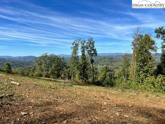 Image number 10 for the current listing