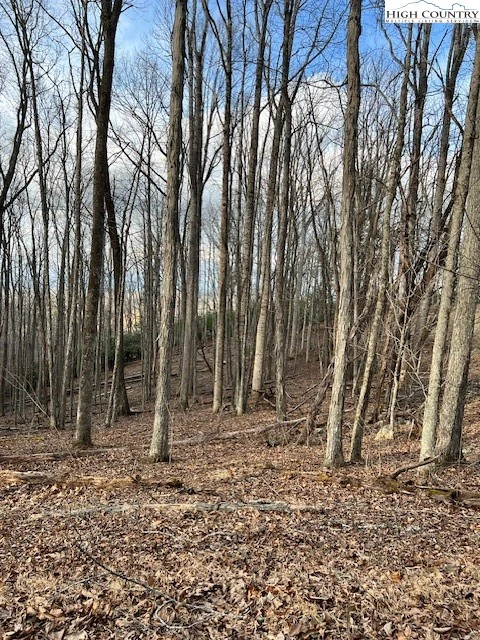 Image number 8 for the current listing