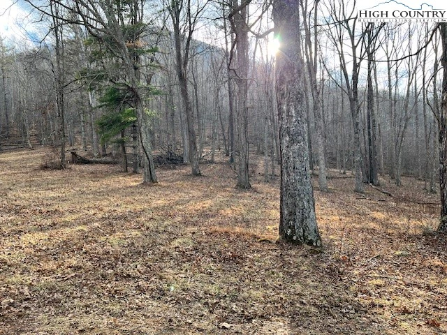 Image number 14 for the current listing
