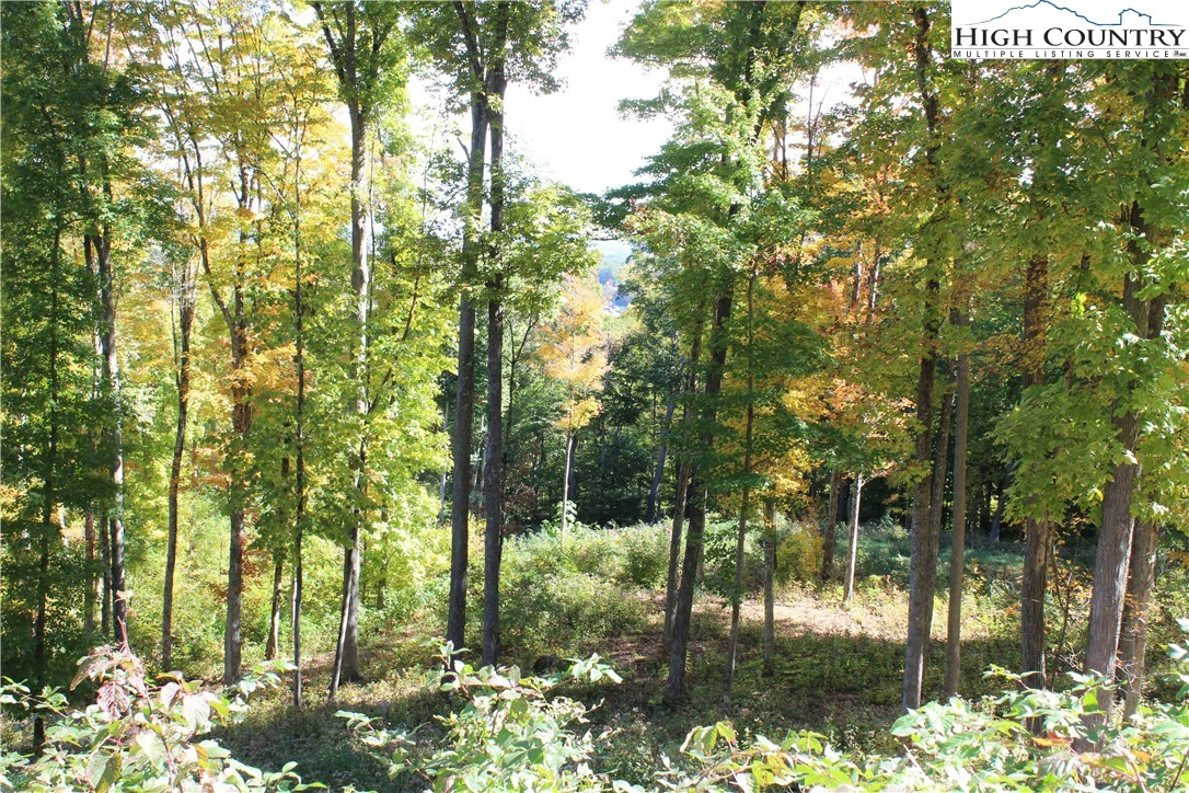 Image number 11 for the current listing