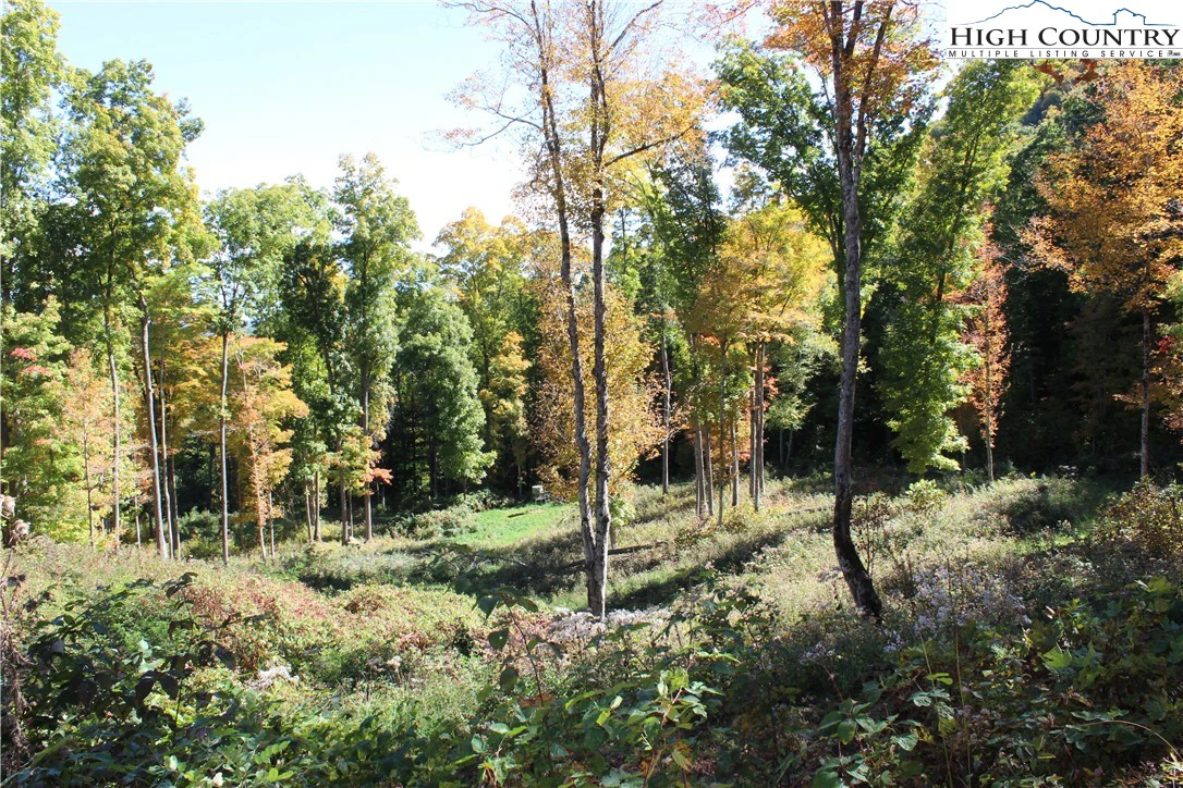 Image number 2 for the current listing
