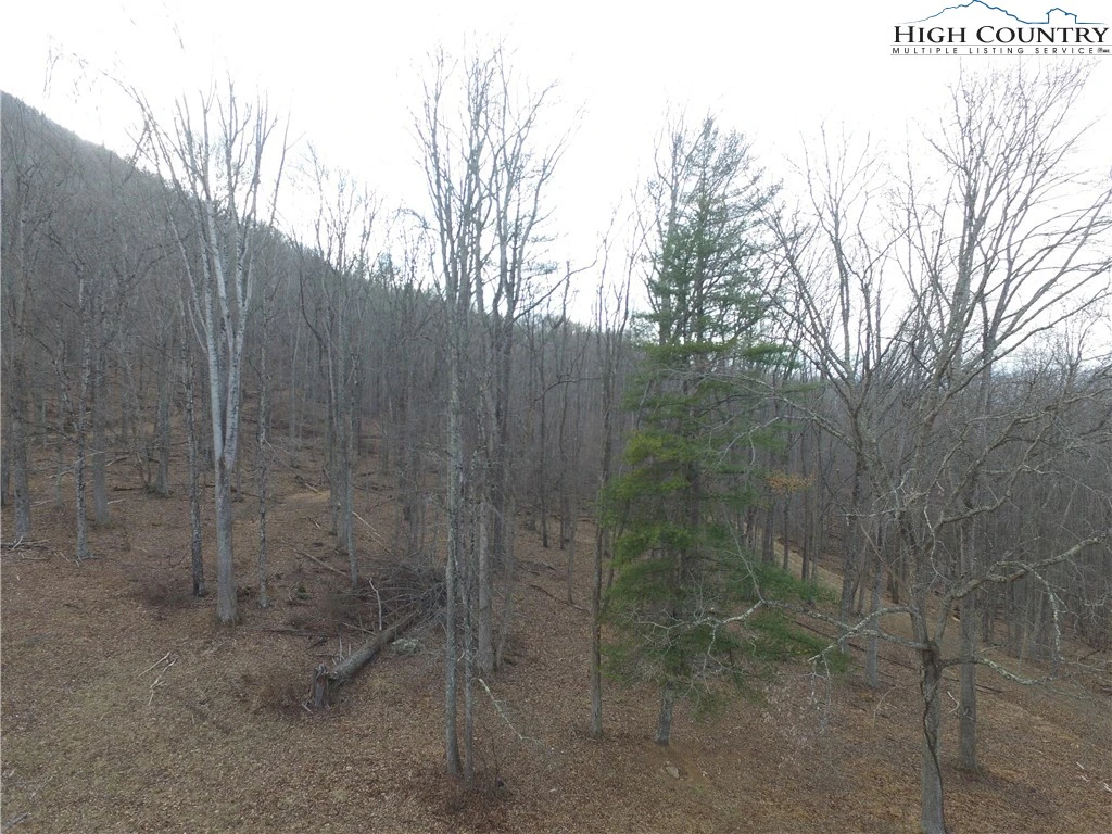 Image number 7 for the current listing