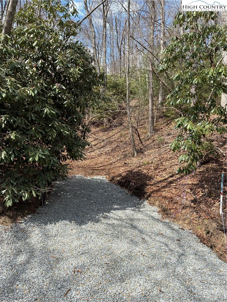 Image number 1 for the current listing