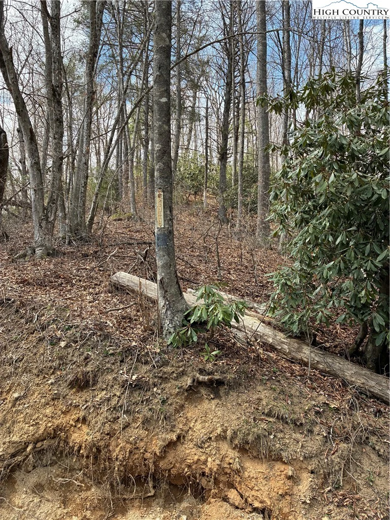 Image number 4 for the current listing