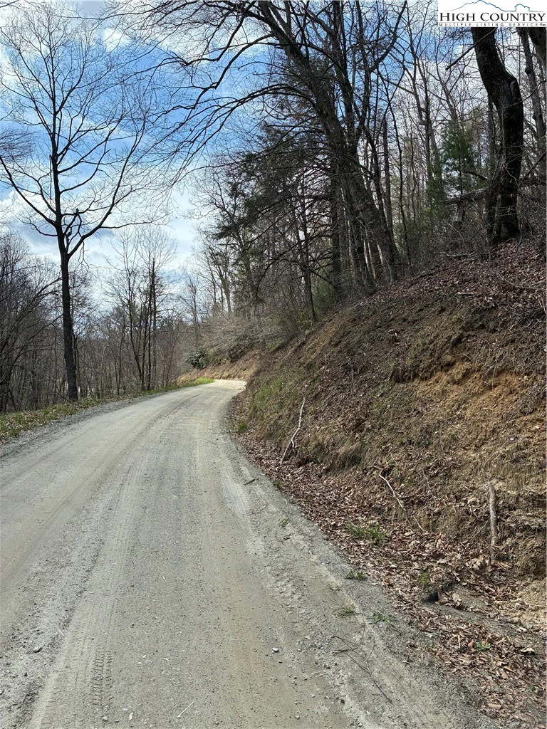 Image number 5 for the current listing