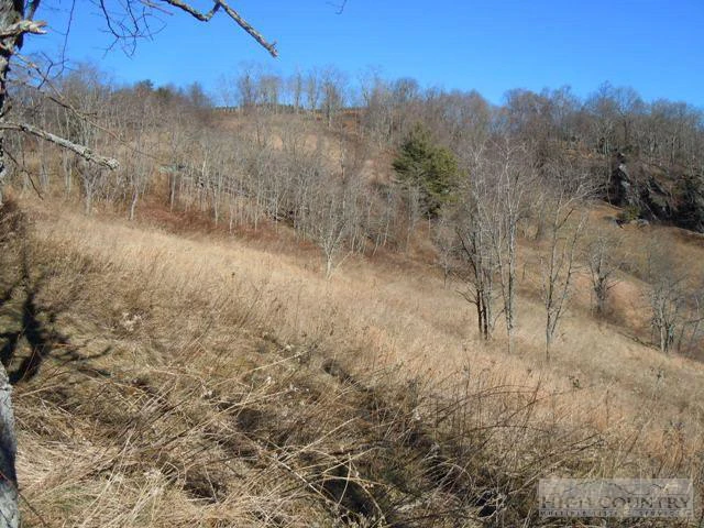 Image number 1 for the current listing