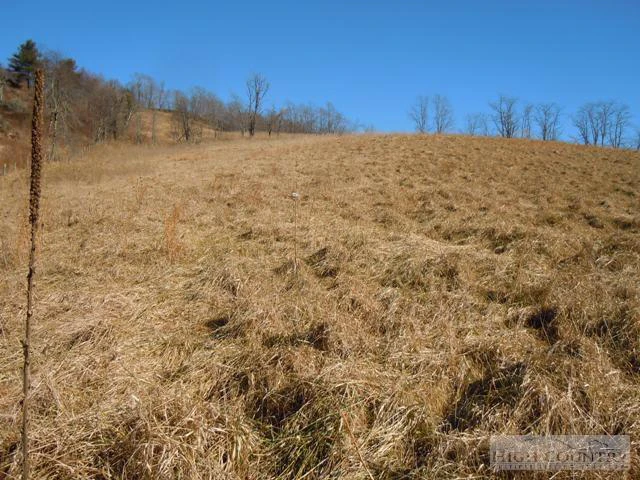 Image number 3 for the current listing