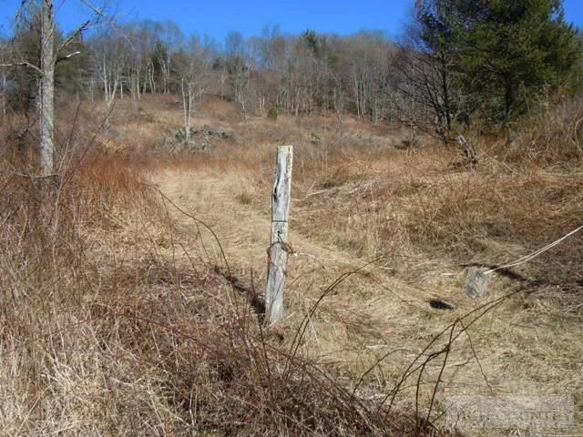 Image number 7 for the current listing