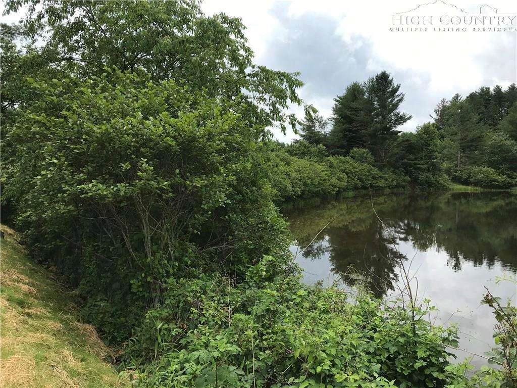Image number 1 for the current listing