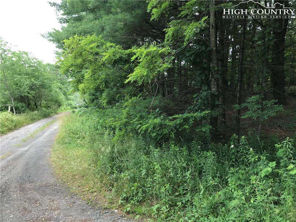 Image number 12 for the current listing