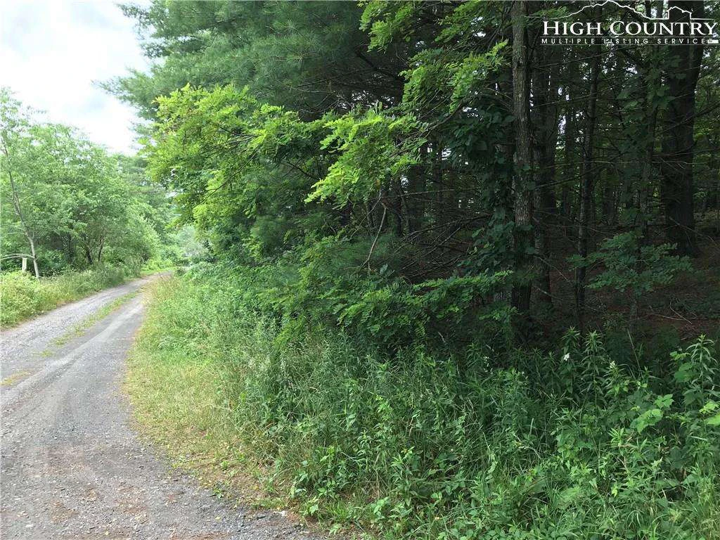 Image number 13 for the current listing