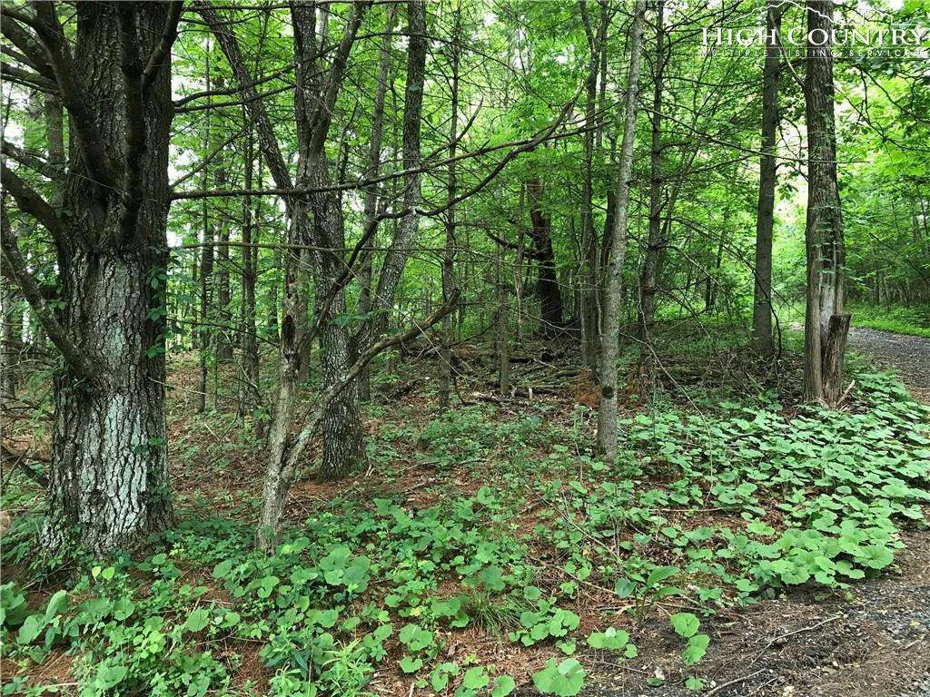Image number 3 for the current listing