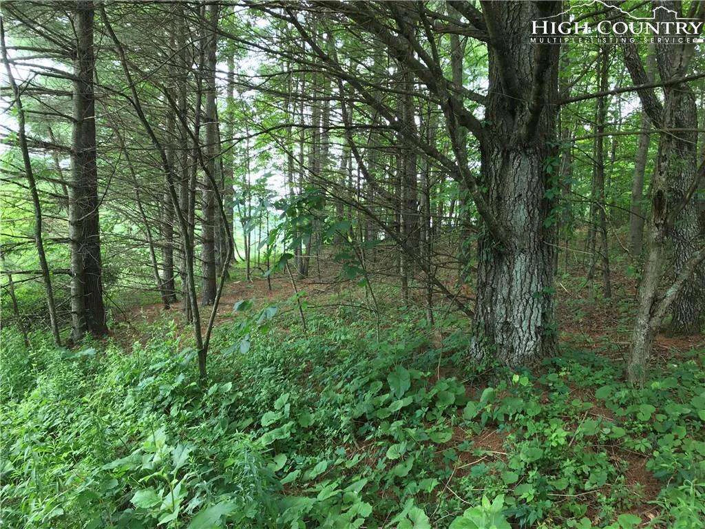 Image number 4 for the current listing
