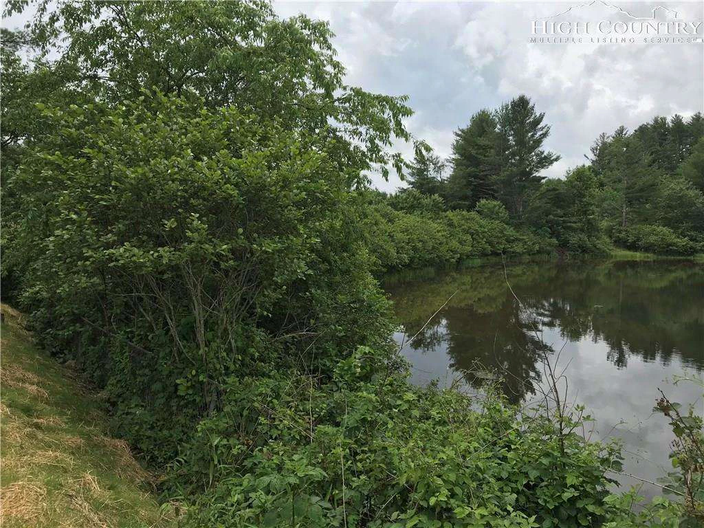 Image number 7 for the current listing