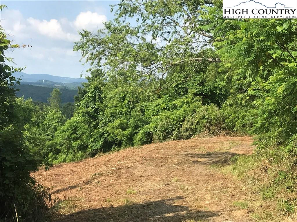 Image number 1 for the current listing