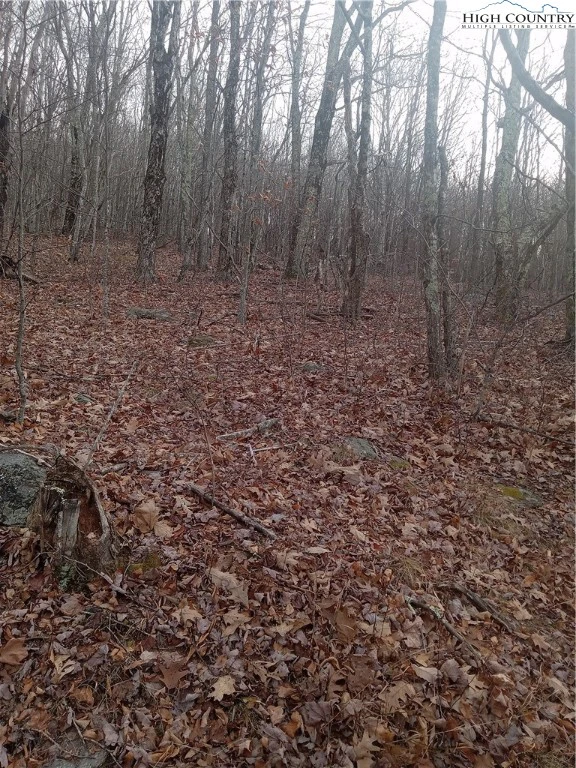 Image number 1 for the current listing