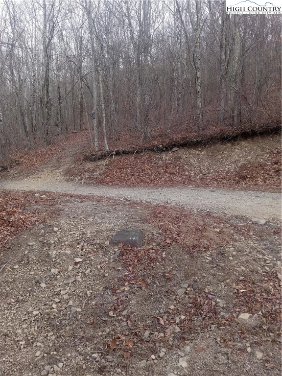 Image number 3 for the current listing