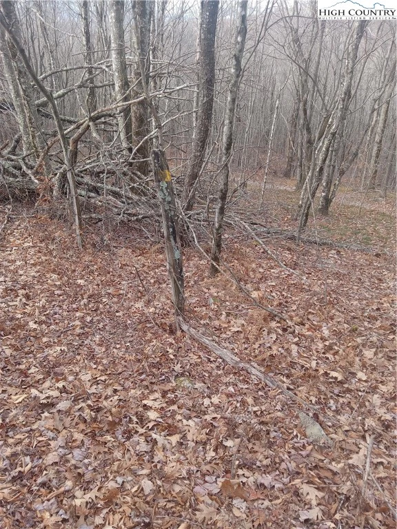 Image number 5 for the current listing