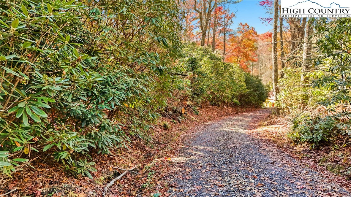 Image number 19 for the current listing