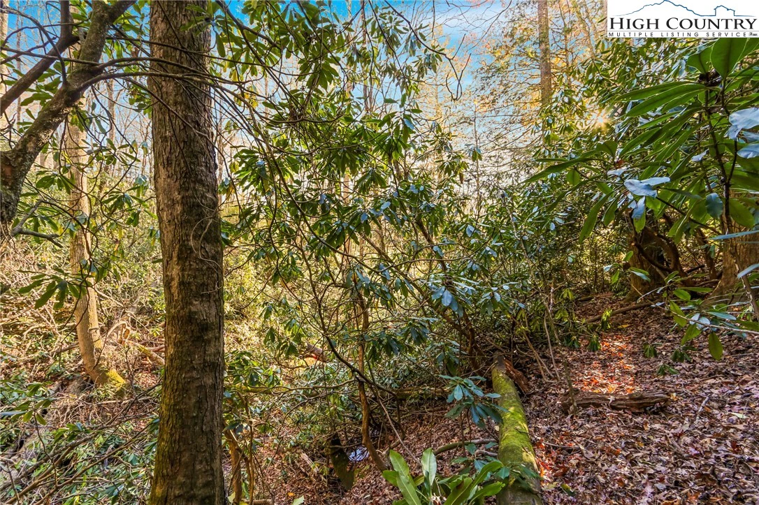 Image number 7 for the current listing