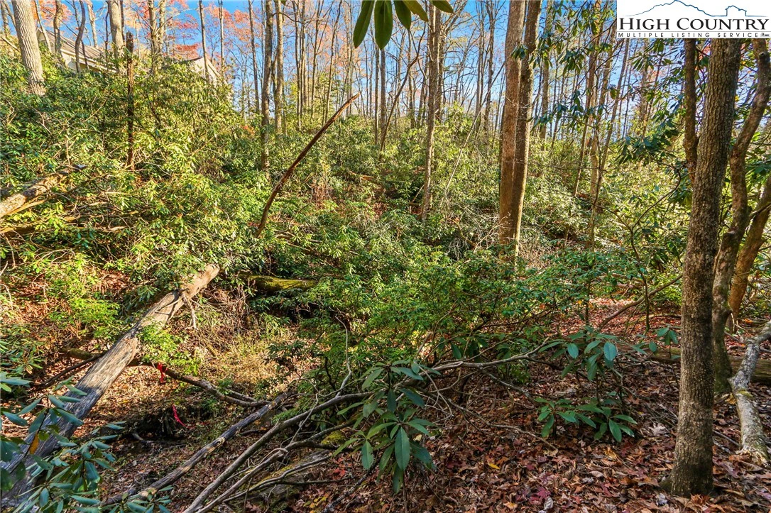 Image number 6 for the current listing
