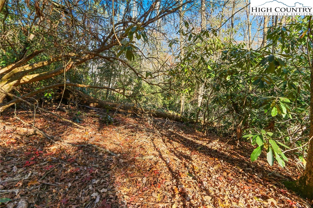 Image number 5 for the current listing