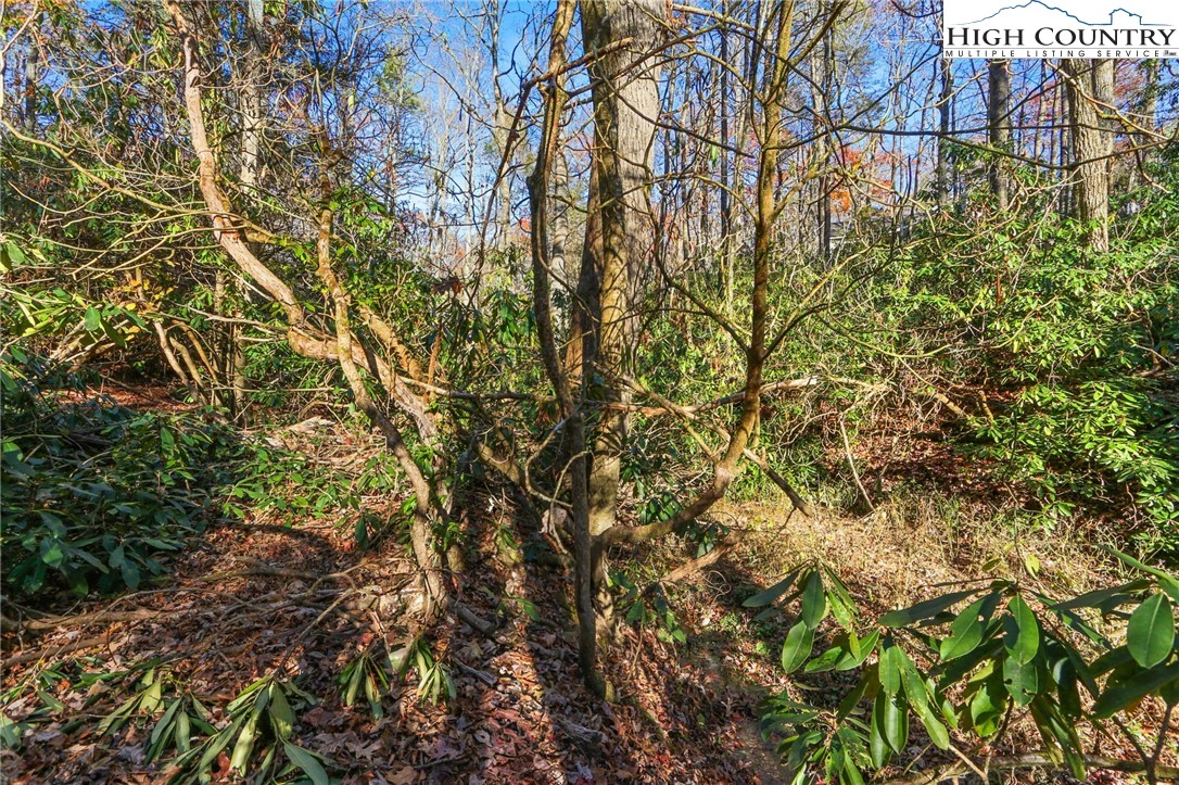 Image number 4 for the current listing
