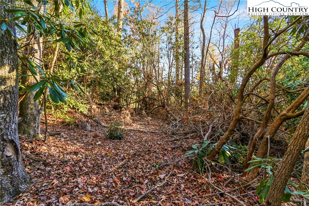 Image number 5 for the current listing
