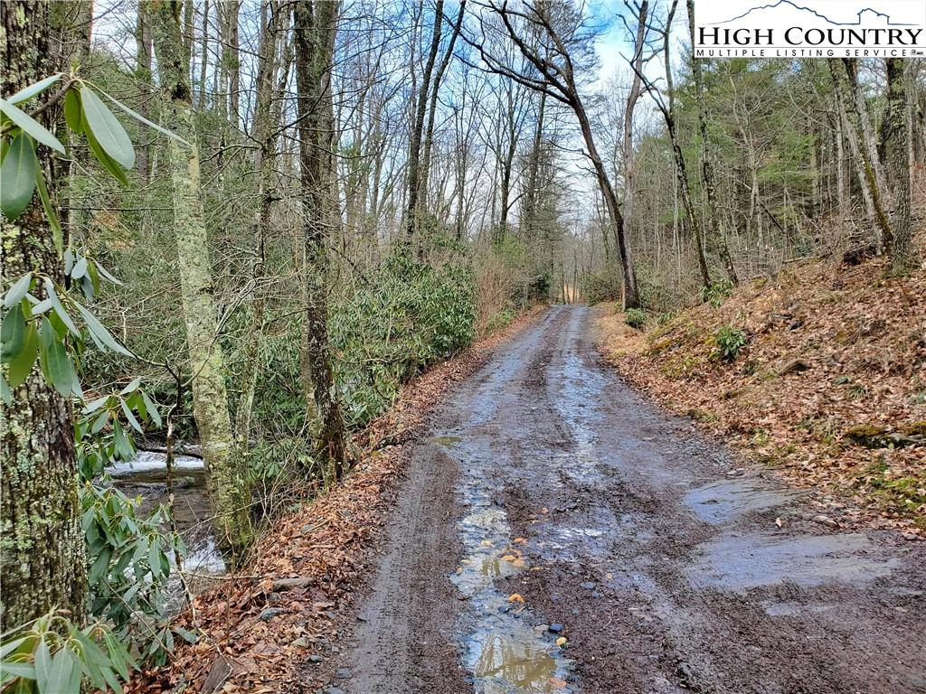 Image number 1 for the current listing
