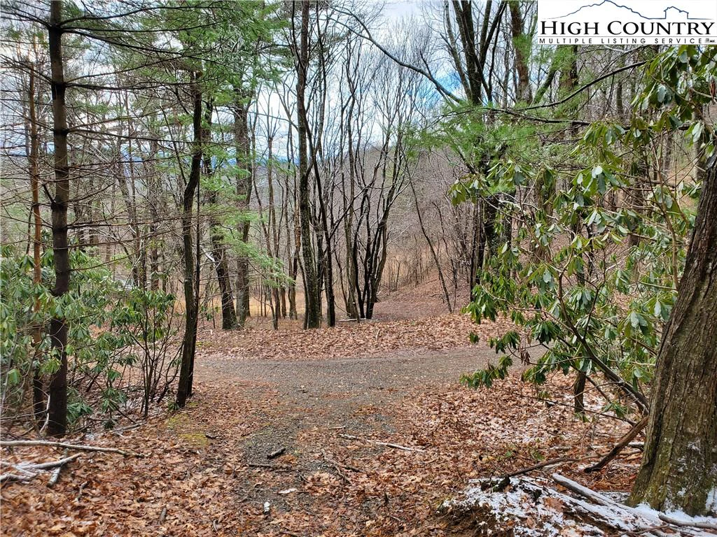 Image number 11 for the current listing