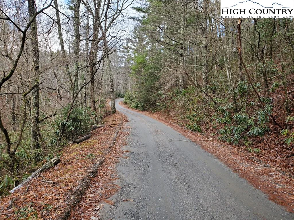 Image number 3 for the current listing