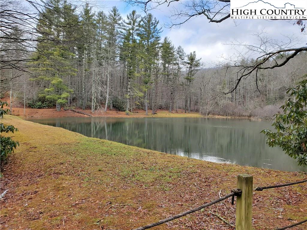 Image number 4 for the current listing