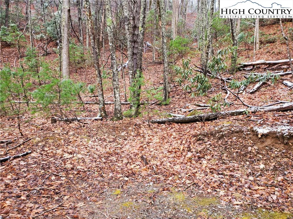 Image number 7 for the current listing