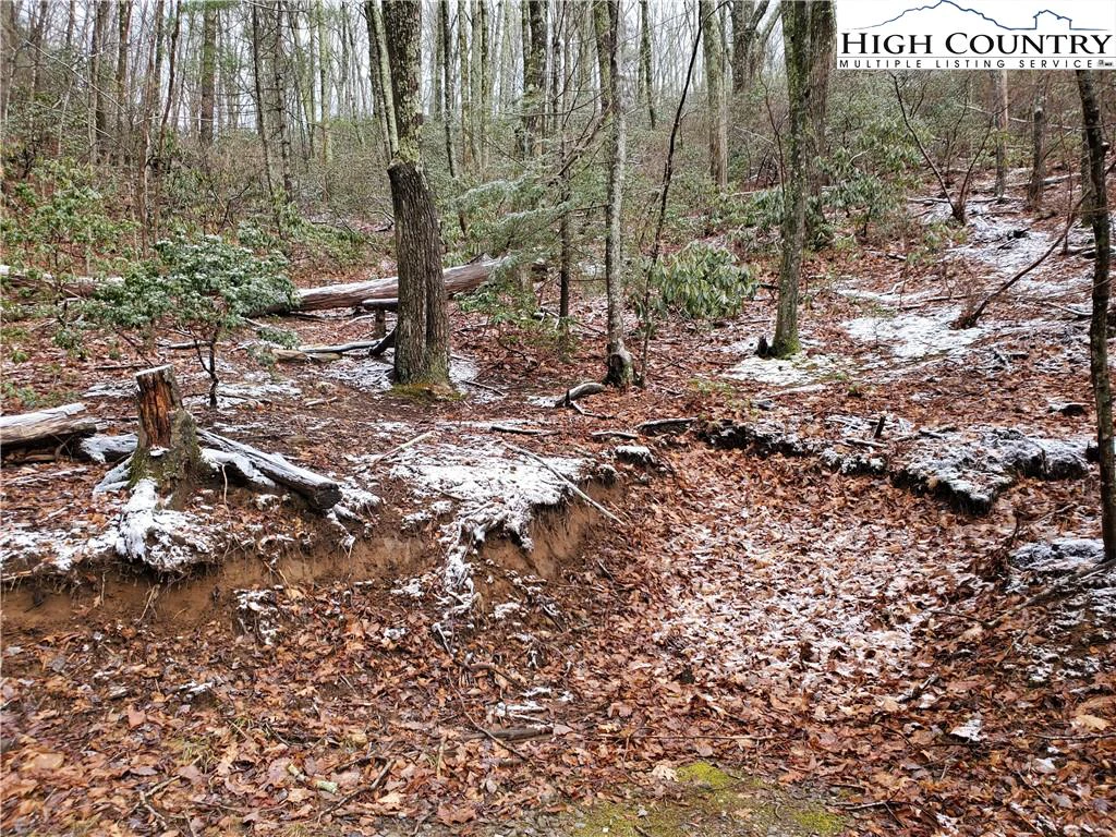 Image number 9 for the current listing